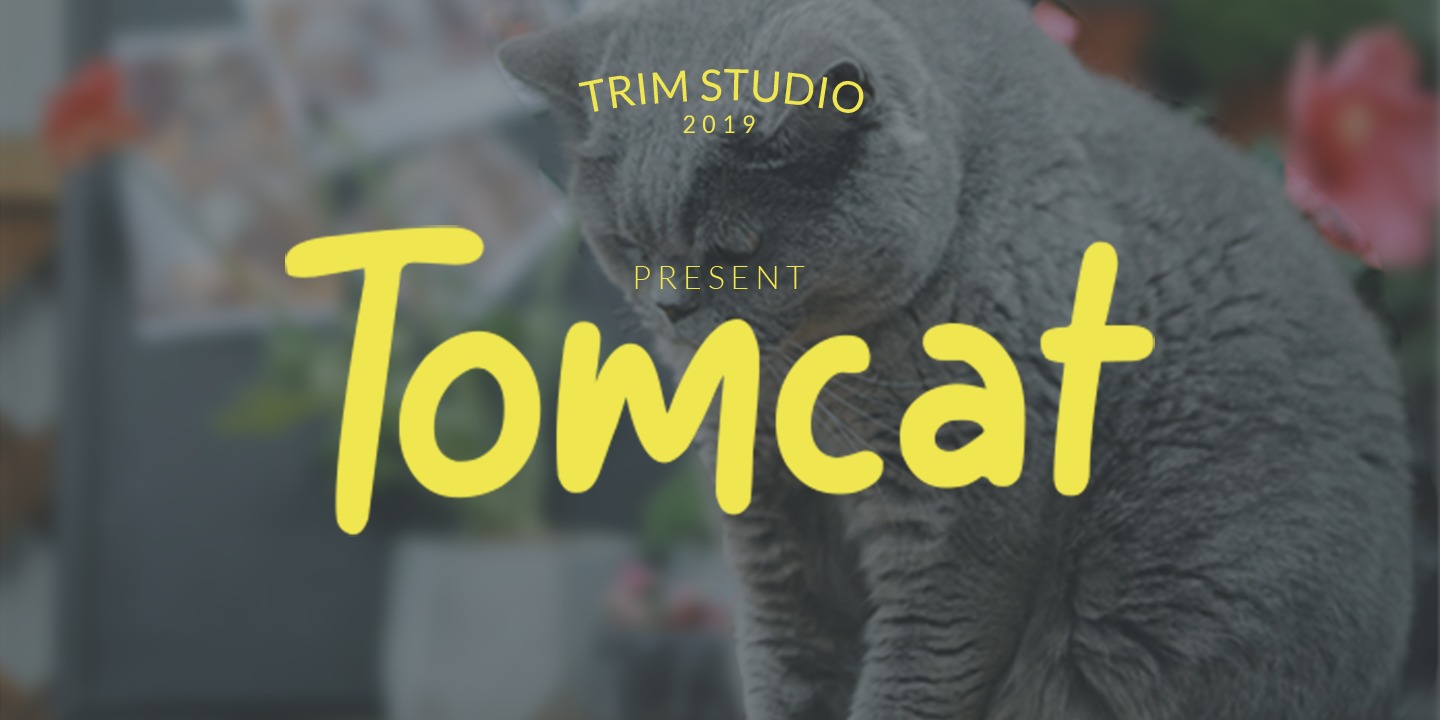 Tomcat Font preview